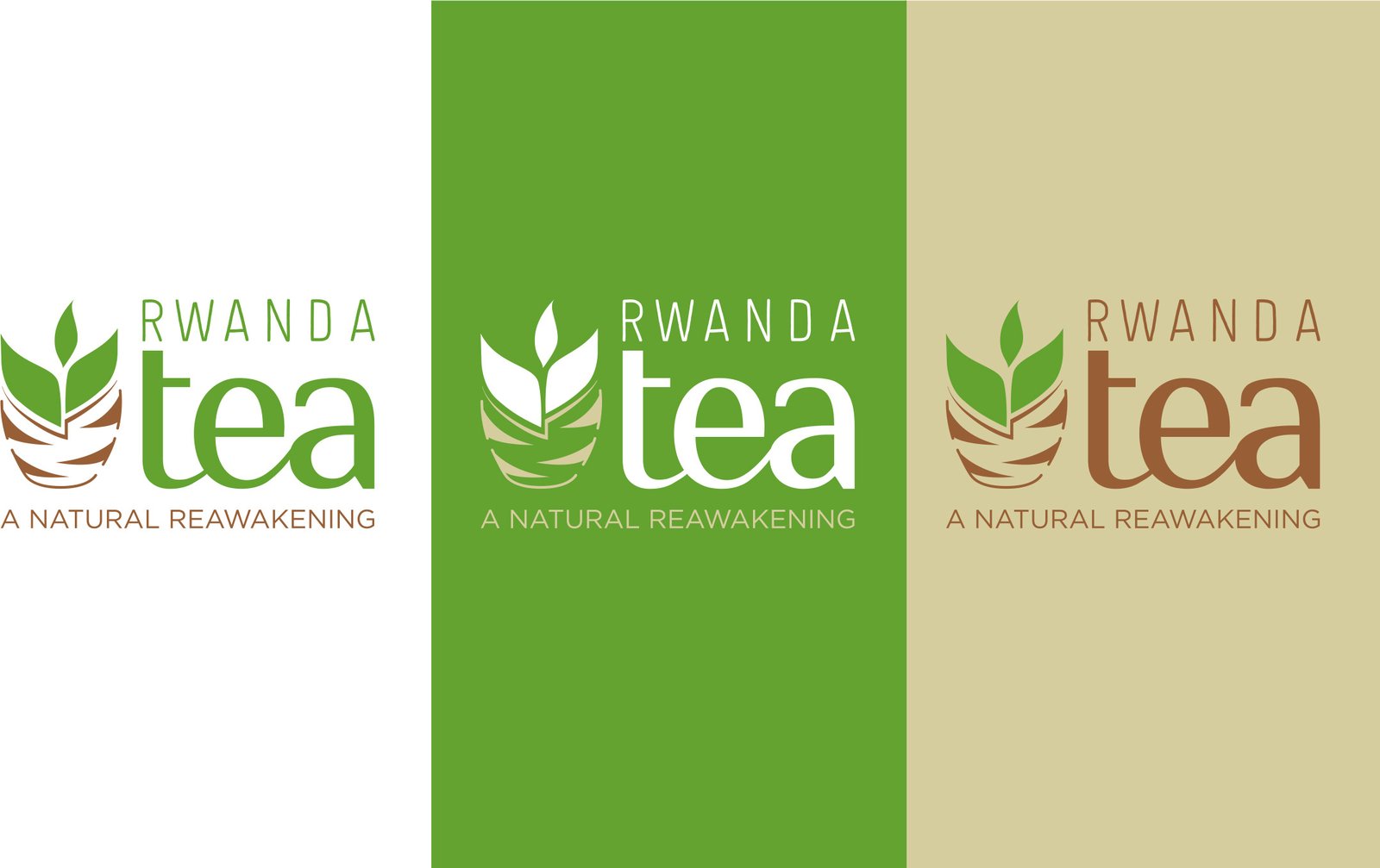3 separate branding colours for rwanda tea